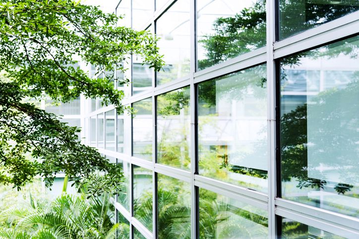Seitenwand eines Bürogebäudes aus Glas, vor dem eine grüne Bepflanzung ist, die sich in den Glasfenstern spiegelt